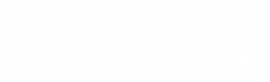vege.net Webhosting und Webdesign aus Bremen